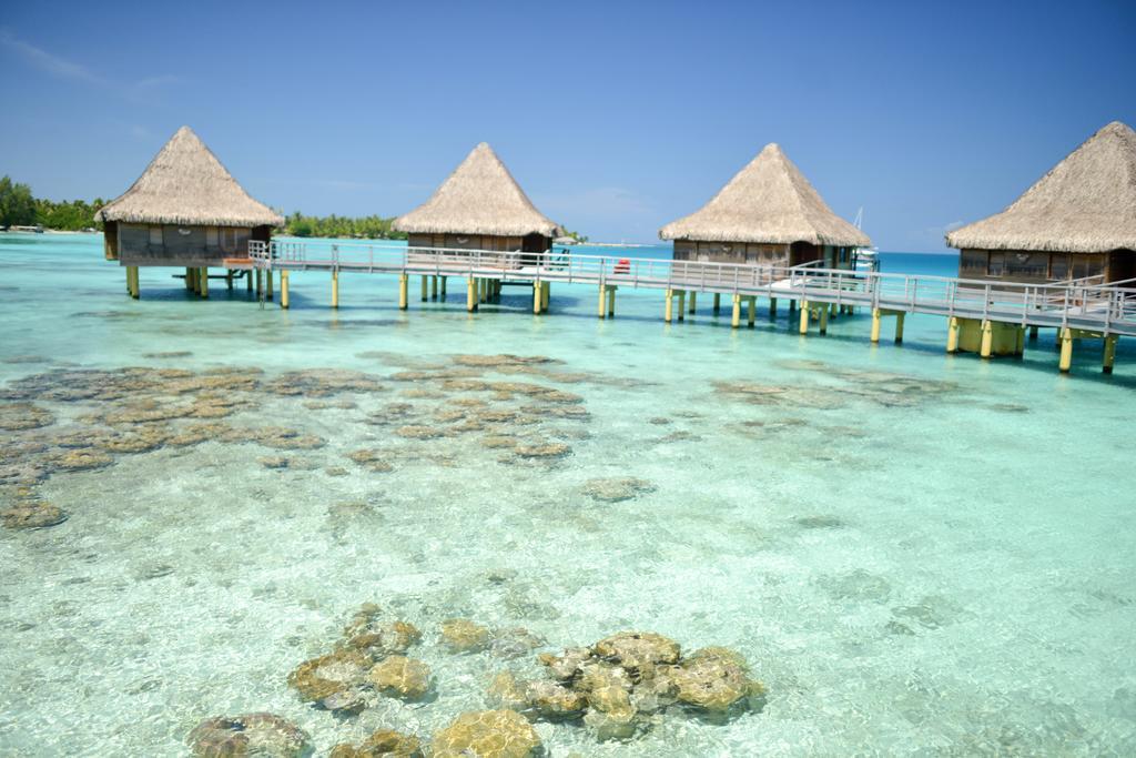Hotel Kia Ora Resort & Spa Avatoru Szoba fotó